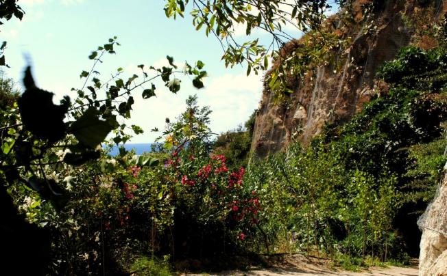 Фото отеля Villaggio La Pizzuta