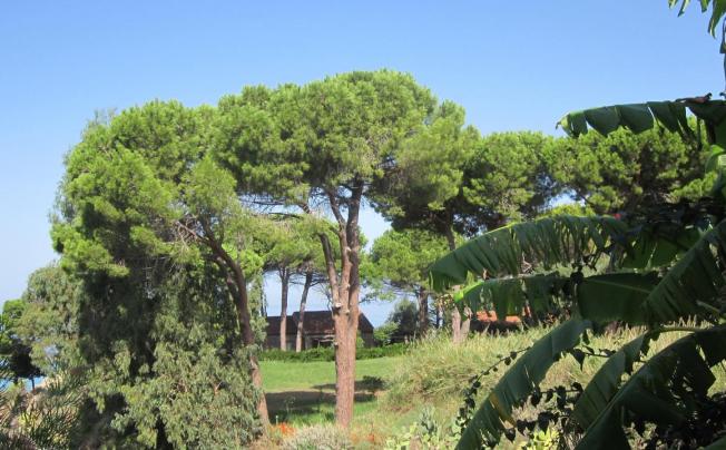 Фото отеля Villaggio La Pizzuta