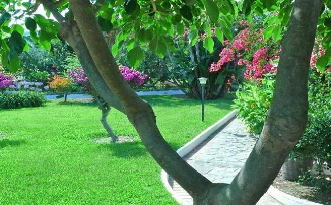 Фото отеля Villaggio La Pizzuta