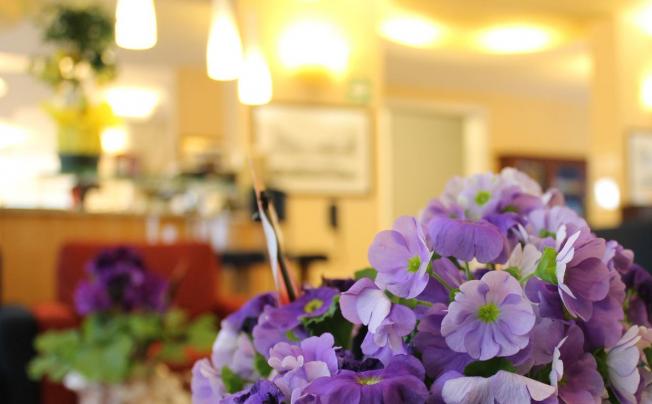 Фото отеля Albatros Hotel Mestre
