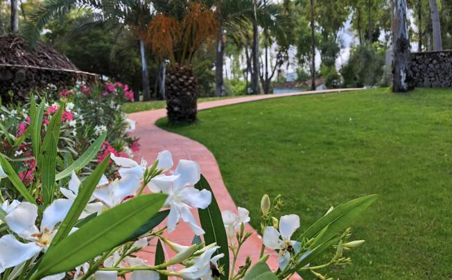 Фото отеля Arbatax Park Resort - Cottage