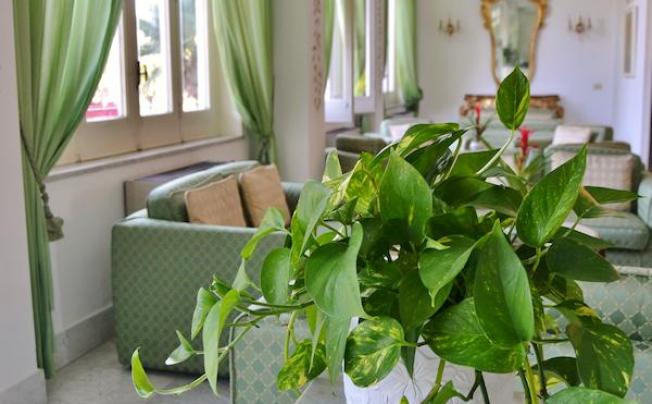 Фото отеля Hotel carlton international
