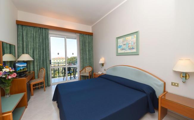 Фото отеля Hotel carlton international