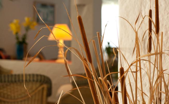 Фото отеля Park Hotel Resort