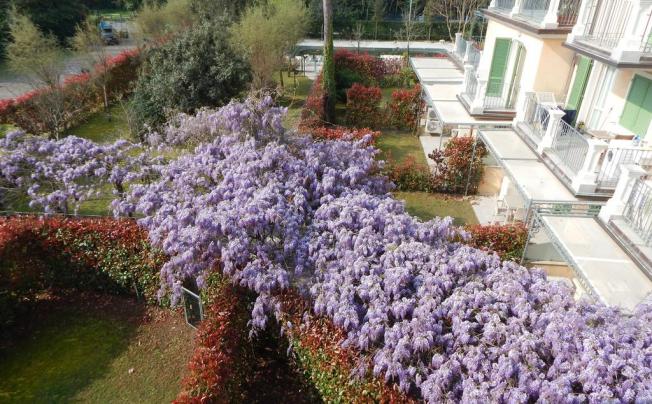 Фото отеля Residence La Pergola