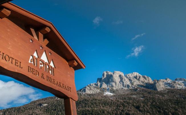 Фото отеля Ai Pini Hotel
