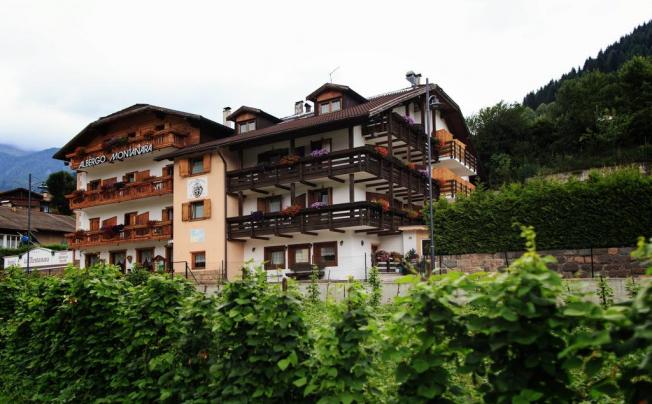 Фото отеля MONTANARA PREDAZZO