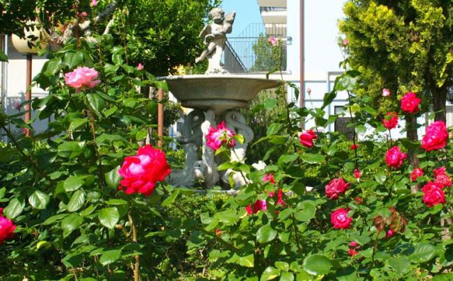 Фото отеля Paradiso