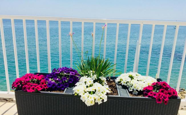 Фото отеля GRAND HOTEL L`APPRODO 