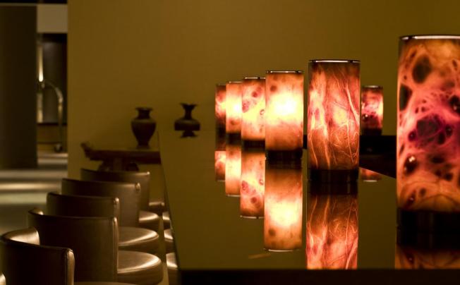 Фото отеля Radisson Blu Milan