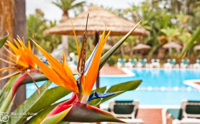 Фото отеля Baia Delle Palme Residence