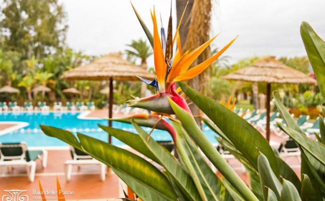 Фото отеля Baia Delle Palme Residence