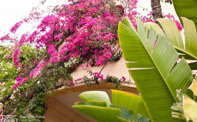 Фото отеля Baia Delle Palme Residence