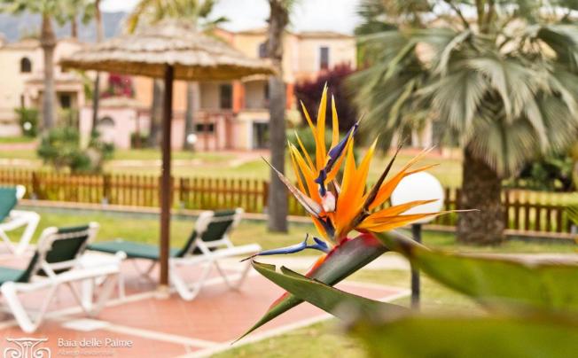 Фото отеля Baia Delle Palme Residence