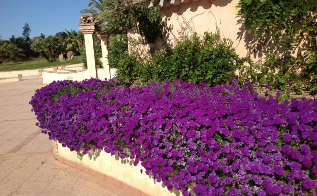 Фото отеля Baia Delle Palme Residence