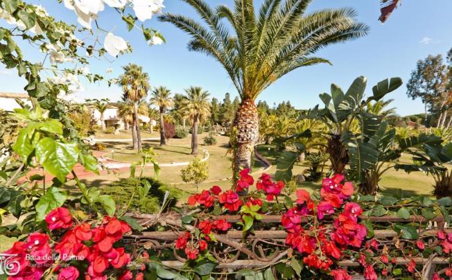 Фото отеля Baia Delle Palme Residence