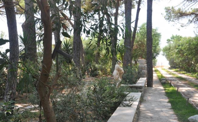 Фото отеля VILLAGGIO BORGO DEGLI ULIVI