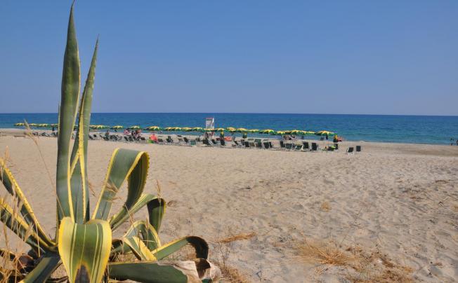 Фото отеля VILLAGGIO BORGO DEGLI ULIVI
