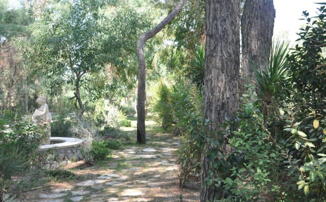 Фото отеля VILLAGGIO BORGO DEGLI ULIVI