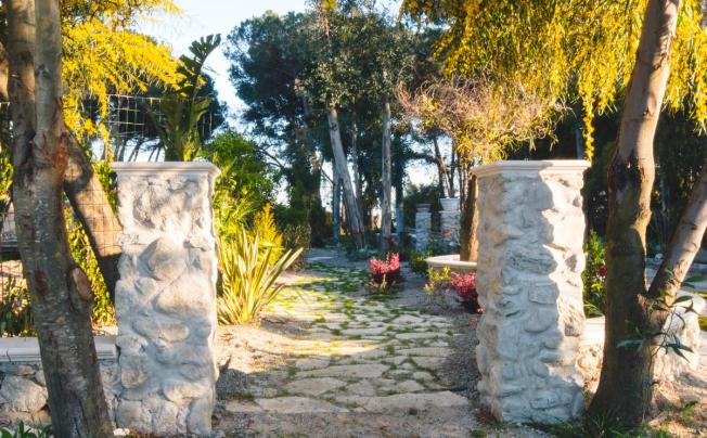 Фото отеля VILLAGGIO BORGO DEGLI ULIVI