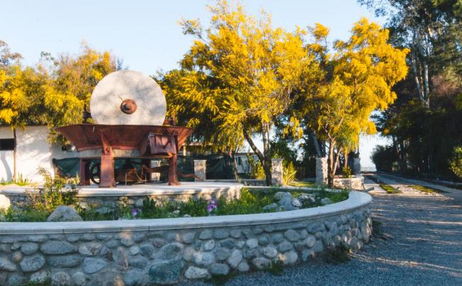 Фото отеля VILLAGGIO BORGO DEGLI ULIVI