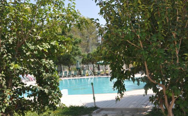 Фото отеля VILLAGGIO BORGO DEGLI ULIVI
