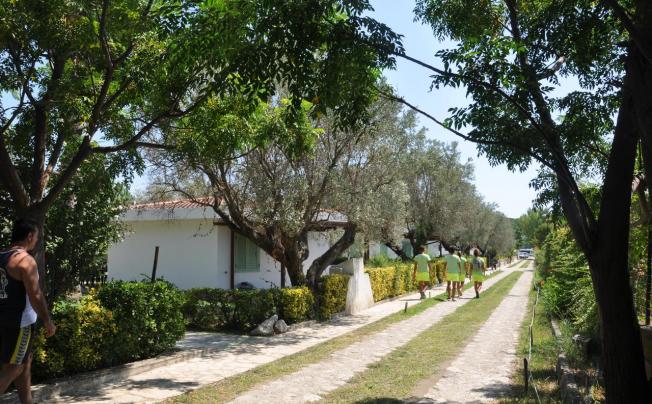 Фото отеля VILLAGGIO BORGO DEGLI ULIVI
