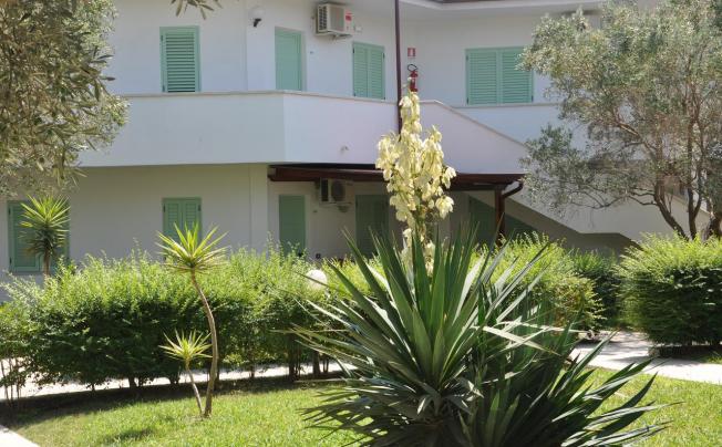 Фото отеля VILLAGGIO BORGO DEGLI ULIVI