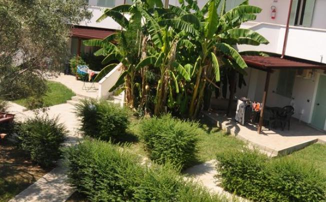 Фото отеля VILLAGGIO BORGO DEGLI ULIVI