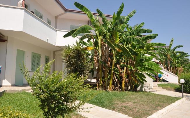 Фото отеля VILLAGGIO BORGO DEGLI ULIVI