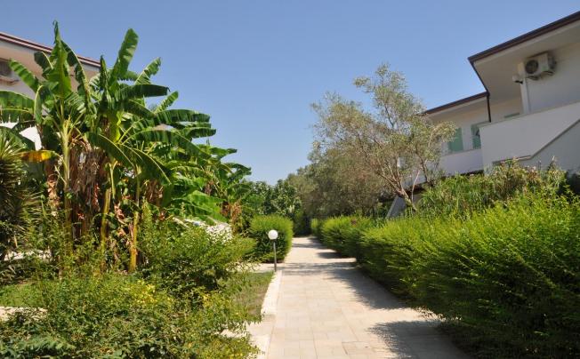 Фото отеля VILLAGGIO BORGO DEGLI ULIVI