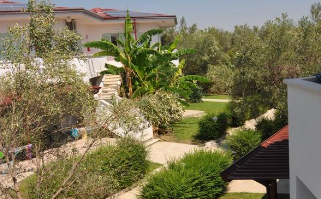 Фото отеля VILLAGGIO BORGO DEGLI ULIVI