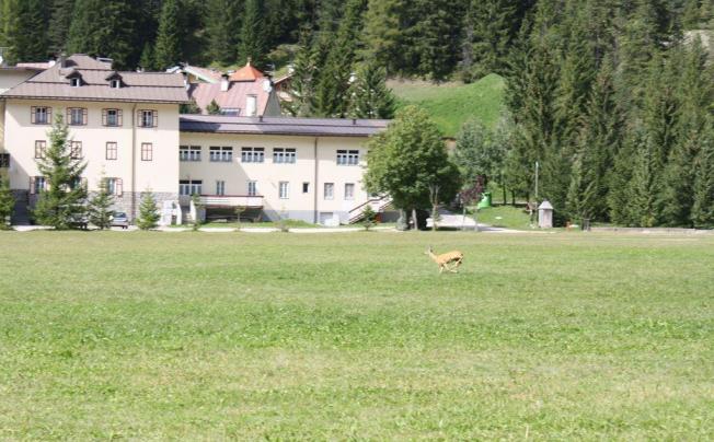 Фото отеля Soggiorno dolomiti