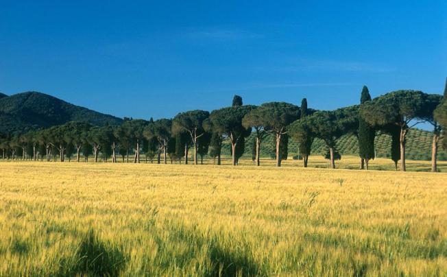 Фото отеля L ANDANA - TENUTA LA BADIOLA 