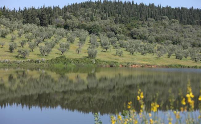 Фото отеля L ANDANA - TENUTA LA BADIOLA 
