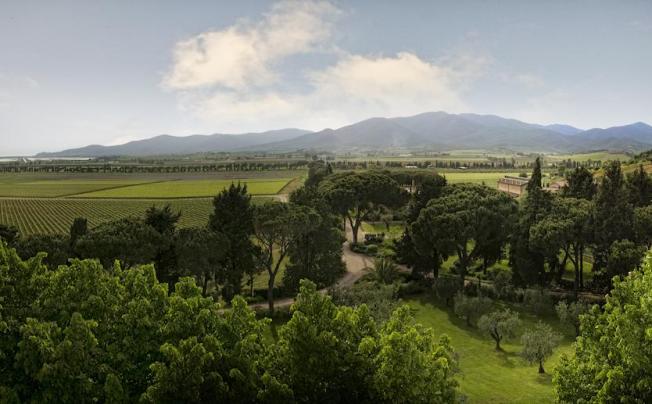 Фото отеля L ANDANA - TENUTA LA BADIOLA 