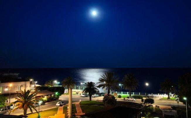 Фото отеля Mediterraneo