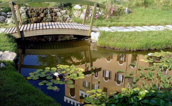 Фото отеля Villa las tronas