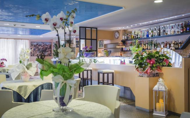 Фото отеля Hotel raffaello