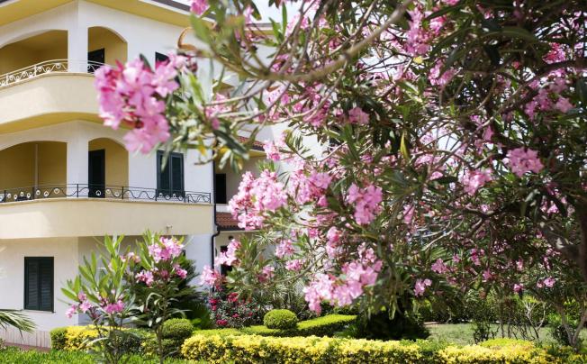 Фото отеля B&B Il Cavaliere