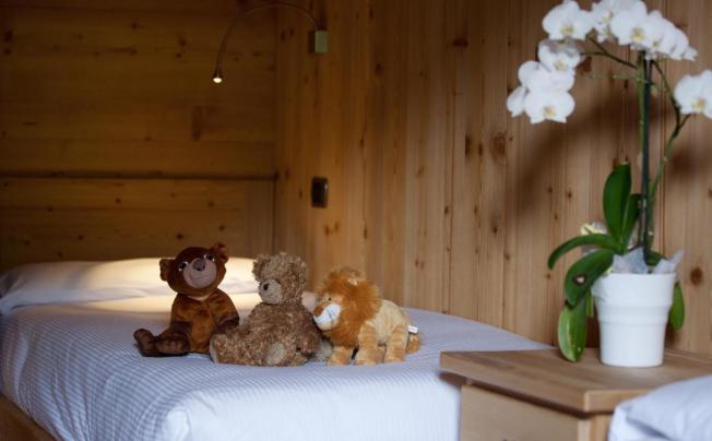 Фото отеля Chalet Funivia Hotel