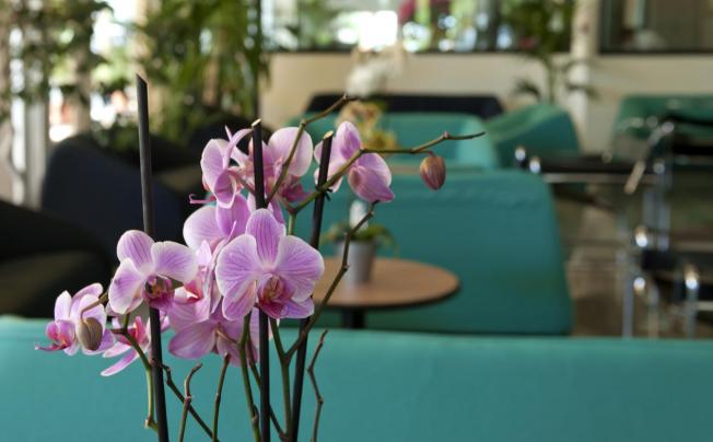 Фото отеля Cormoran Hotel