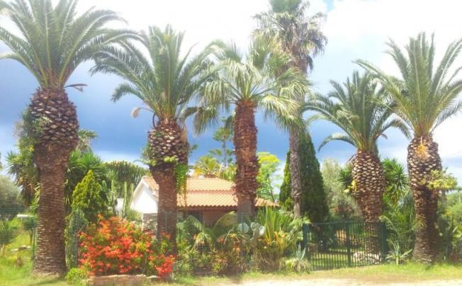 Фото отеля Villa Romana Tropea