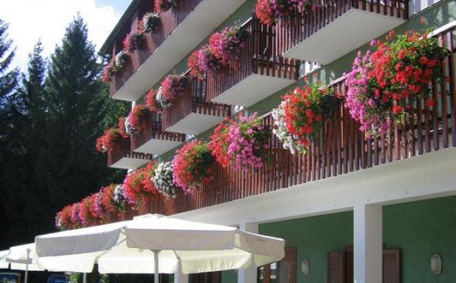 Фото отеля Hotel Monteverde
