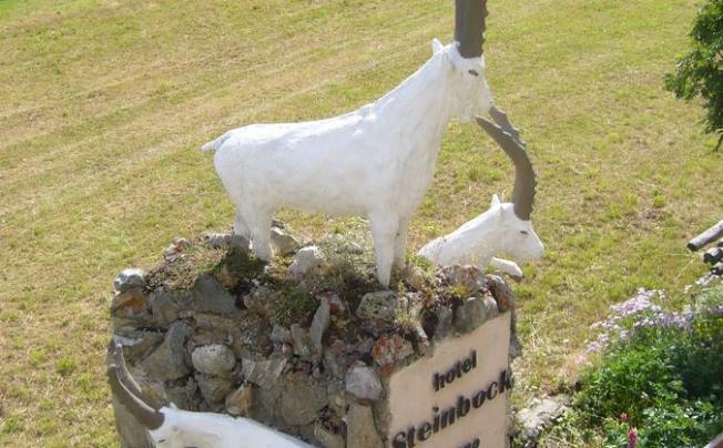 Фото отеля Steinbock