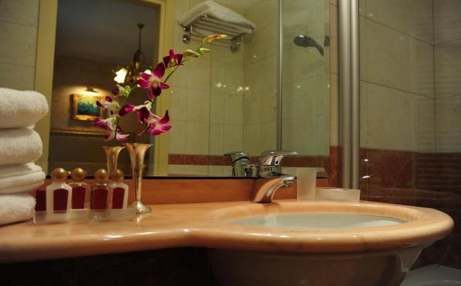 Фото отеля Viktoria Palace Hotel