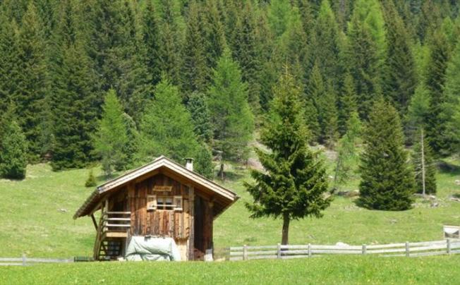 Фото отеля GARNI BERNARD