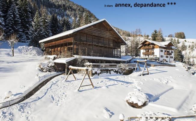 Фото отеля Albion Hotel Mountain Spa Resort Dolomites