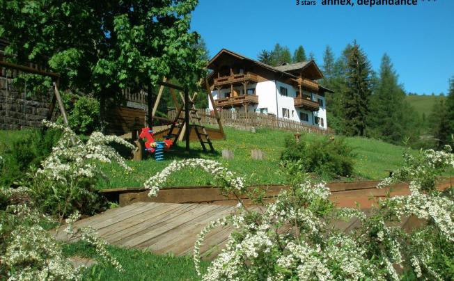 Фото отеля Albion Hotel Mountain Spa Resort Dolomites