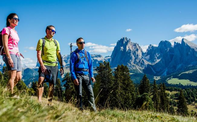 Фото отеля Albion Hotel Mountain Spa Resort Dolomites